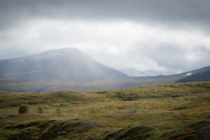 Bilden föreställer kalfjället i Abisko Nationalpark en disig höstdag.