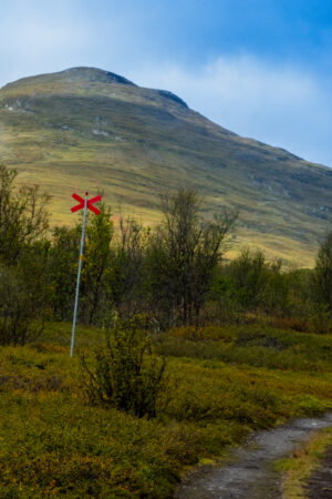 Bilden föreställer kalfjällen tidigt under hösten. I bilden ses ett rött ledkryss mot fjällets grönska.